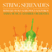 Album artwork for V4: String Serenades