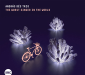 Album artwork for Andras Des Trio - The Worst Singer In The World 