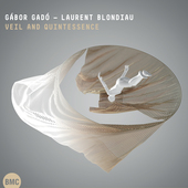 Album artwork for Gabor Gado & Laurent Blondiau - Veil And Quintesse