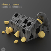 Album artwork for Parniczky Quartet - Bartok Electrified 