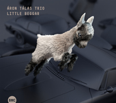 Album artwork for Aron Talas Trio - Little  Beggar 