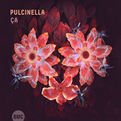 Album artwork for Pulcinella - CA 