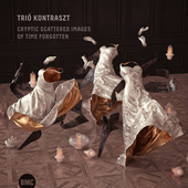 Album artwork for Trio Kontraszt - Cryptic Scattered Images Of Time 