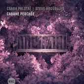 Album artwork for Csaba Palota?? & Steve  Arg??elles - Cabane Perch?