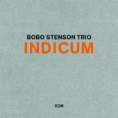 Album artwork for Bobo Stenson Trio: Indicum