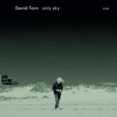 Album artwork for ONLY SKY / David Torn