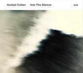 Album artwork for Into The Silence / Avishai Cohen