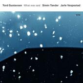 Album artwork for What Was Said / Tord Gustavsen
