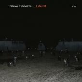 Album artwork for LIFE OF / Steve Tibbetts