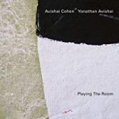 Album artwork for Avishai Cohen & Yonathan Avishai - Playing the Roo