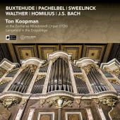 Album artwork for Ton Koopman at the Zacharias Hildebrandt Organ