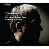 Album artwork for Wanderer: Songs by Schumann, Mahler / Pregardien