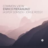 Album artwork for COMMON VIEW / Enrico Pieranunzi Trio