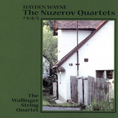 Album artwork for Hayden Wayne & The Wallinger String Quartet - The 