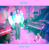 Album artwork for Bosley - Unreal Fire 