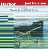 Album artwork for Joel Harrison - HARBOR