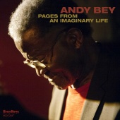 Album artwork for Pages From an Imaginary Life. Andy Bey