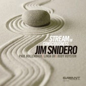 Album artwork for Jim Snidero: Stream of Consciousness