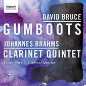 Album artwork for Bruce: Gumboots - Brahms: Clarinet Quintet