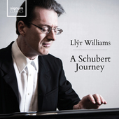 Album artwork for A Schubert Journey