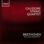 Album artwork for Beethoven: The Late Quartets