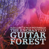 Album artwork for The Enchanted Guitar Forest