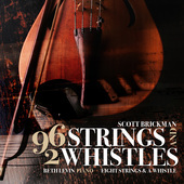 Album artwork for Brickman: 96 Strings & 2 Whistles
