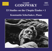 Album artwork for Godowsky: Piano Music, Vol. 14 - 53 Studies on the