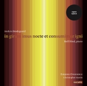 Album artwork for BRODSGAARD: IN GIRUM IMUS NOCTE ET CONSUMMIMUR IGN
