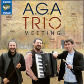 Album artwork for A.G.A. Trio: Meeting