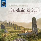 Album artwork for 'Sai-thaiñ ki Sur