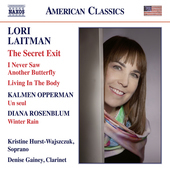 Album artwork for Laitman: The Secret Exit