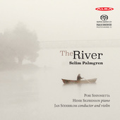 Album artwork for Palmgren: The River