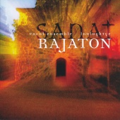Album artwork for RAJATON - SANAT