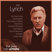 Album artwork for Joe Lynch - Joe Lynch 