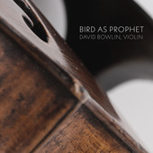 Album artwork for Bird as Prophet