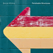 Album artwork for Perishable Structures