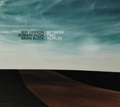Album artwork for Jeff Denson & Romain Pilon & Brian Blade - Between