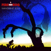 Album artwork for Firebug - Wandering Soul 