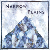 Album artwork for Narrow Plains - Narrow Plains 