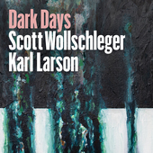 Album artwork for Scott Wollschleger: Dark Days