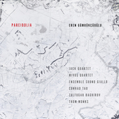 Album artwork for Gümrükçüoglu: Pareidolia