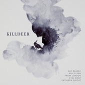 Album artwork for Barash: Killdeer
