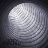 Album artwork for David Bird: Iron Orchid