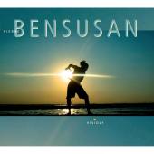 Album artwork for Pierre Bensusan: Vividly