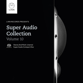 Album artwork for V10: SUPER AUDIO COLLECTION