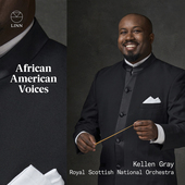 Album artwork for African American Voices