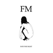 Album artwork for Fixmer/McCarthy - Into The Night 