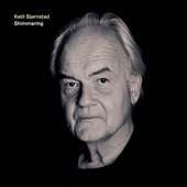 Album artwork for Bjørnstad: Shimmering