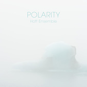 Album artwork for POLARITY